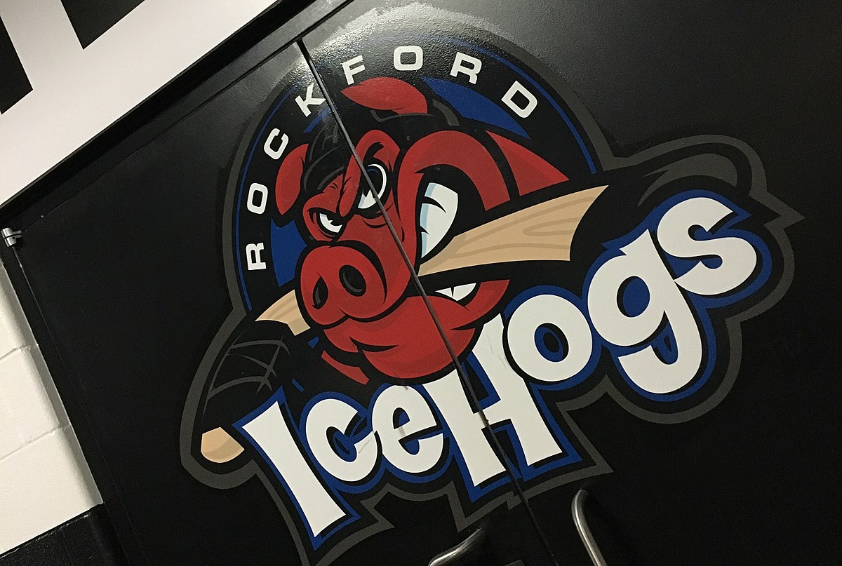 10 Best Rockford IceHogs ideas  rockford icehogs, rockford, blackhawks