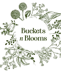 Buckets n Blooms