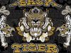 EASY TIGER 815