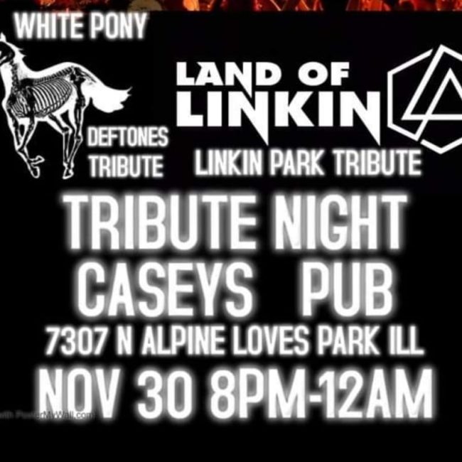 LAND OF LINKIN (Linkin Park tribute band) and WHITE PONY (Deftones tribute band)