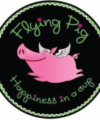 Flying Pig