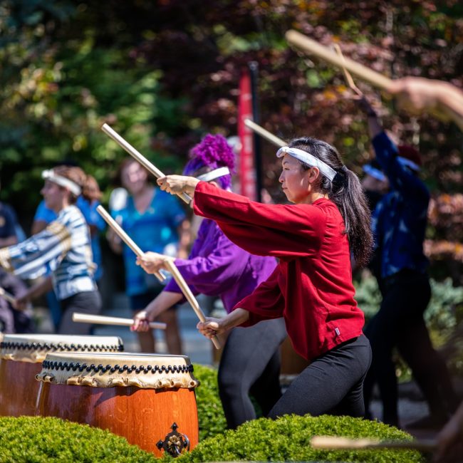 Japanese Summer Festival