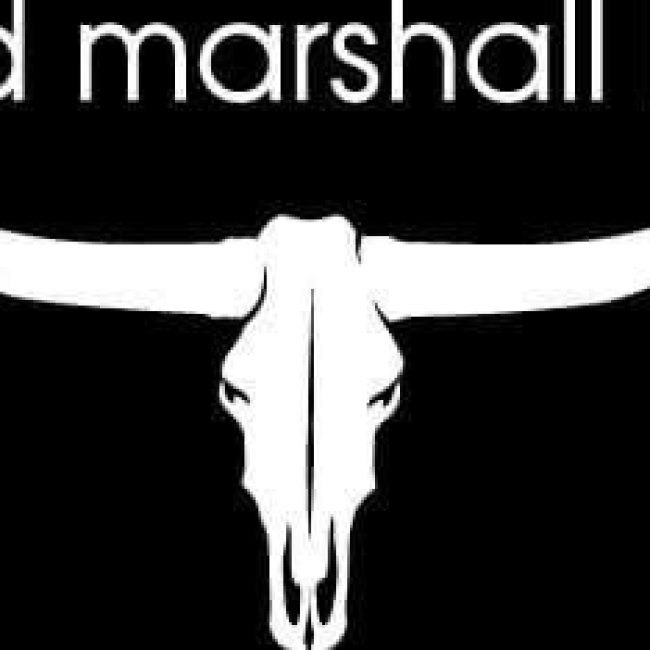 David Marshall Band/Country Night