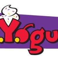 DIYogurt