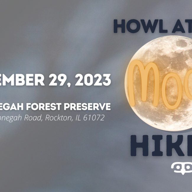 Howl at the Moon Night Walk