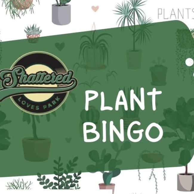 Plant Bingo @ Shattered
