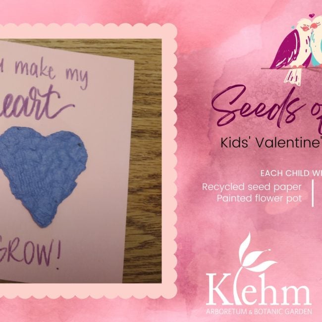Seeds of Love Kids’ Valentine’s Workshop @ Klehm Arboretum and Botanic Garden