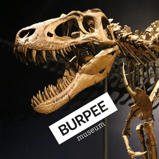 Biology Trivia Night @ Burpee Museum of Natural History