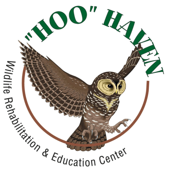 Holiday Stroll @ Hoo Haven