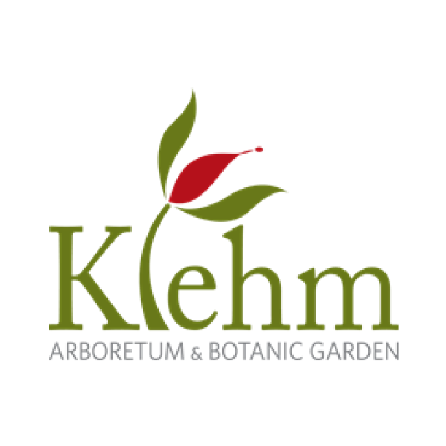 Snowshoe Poker Klehm Arboretum and Botanic Garden