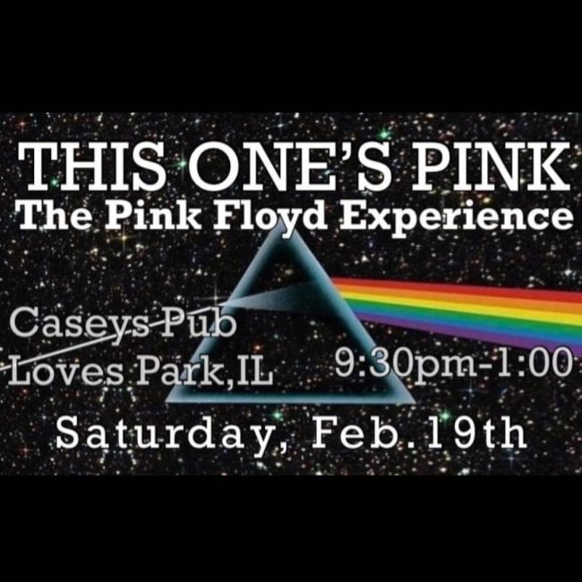 THIS ONES PINK A Pink Floyd Experience