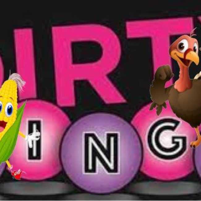 Naughty Bingo for a Cause at Crazy Times