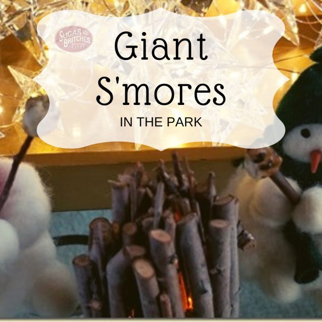S’mores at Settler’s @ Settler’s Park Rockton, Il