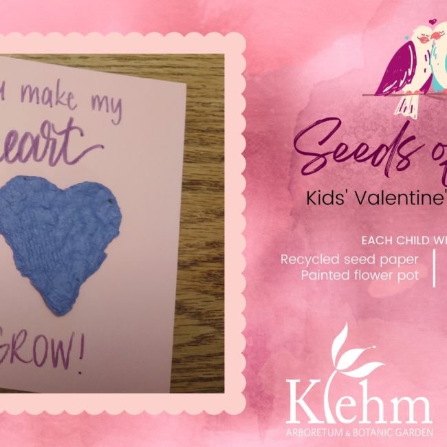 Seeds of Love Kids’ Valentine’s Workshop @ Klehm Arboretum and Botanic Garden
