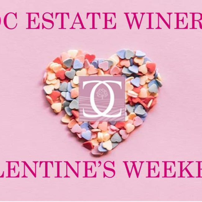Galentine’s Weekend @ DC Estate Winery