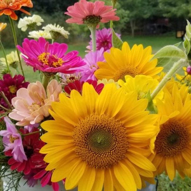 Floral Bar Mixer @ The Landscape Connection