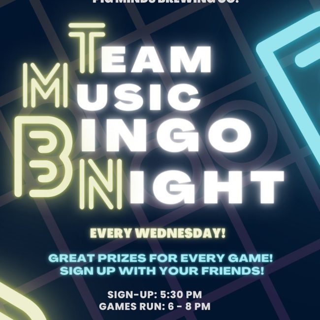 Team Music Bingo Night @ Pig Minds Brewing Co.