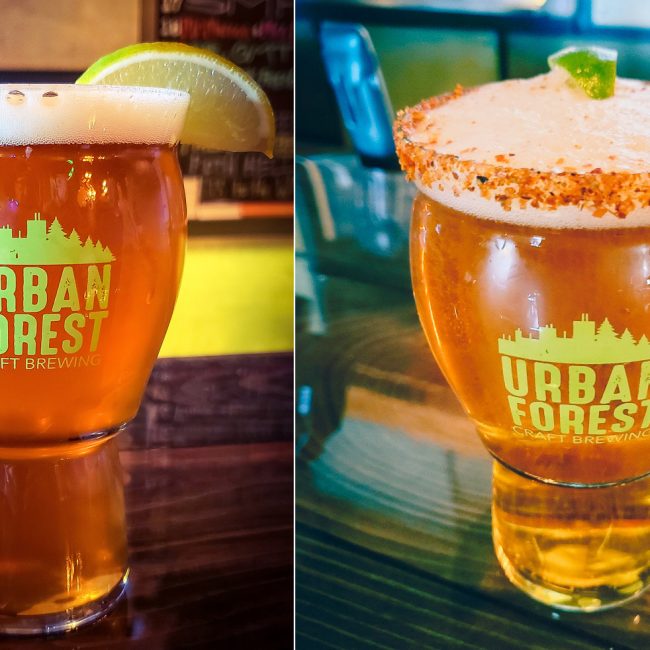 Cinco De Mayo Party @ Urban Forest Craft Brewing