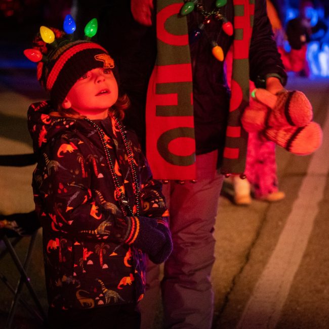 39th Annual Rockton Christmas Walk