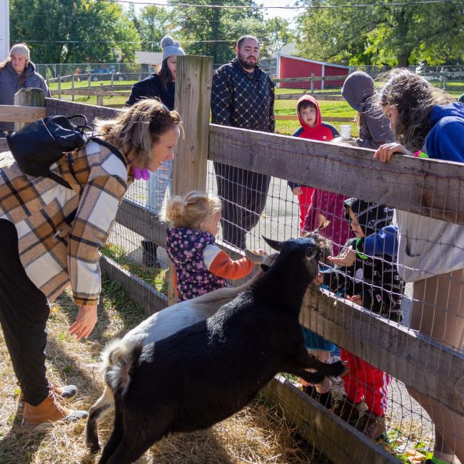 Fall on the Farm