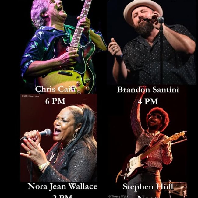 16th Annual Crossroads Blues Festival @ Lyran Park