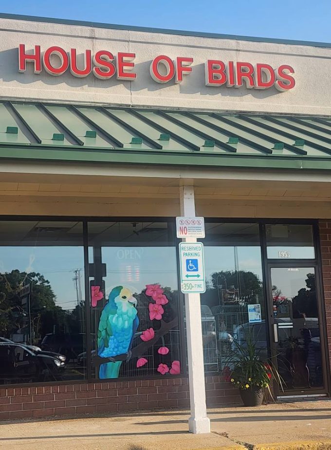 House of Birds