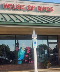 House of Birds
