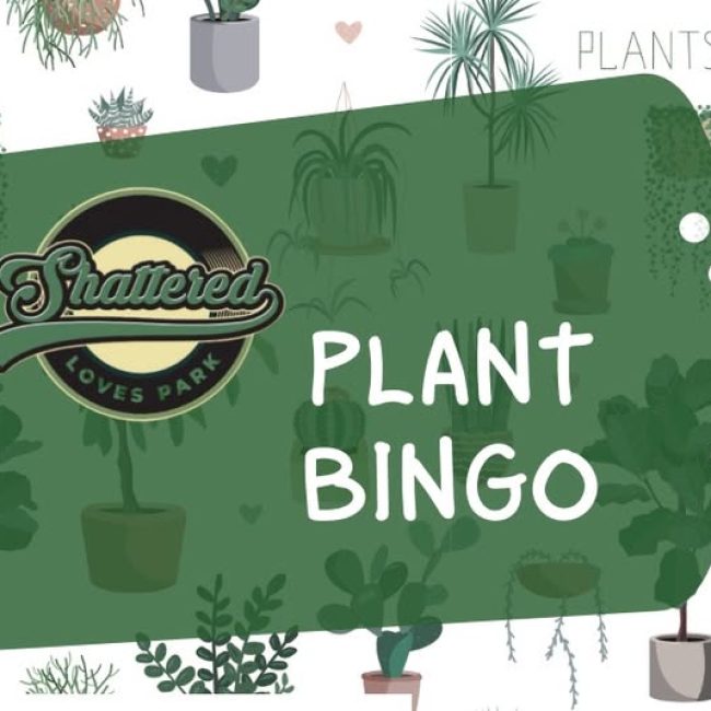 Plant Bingo @ Shattered