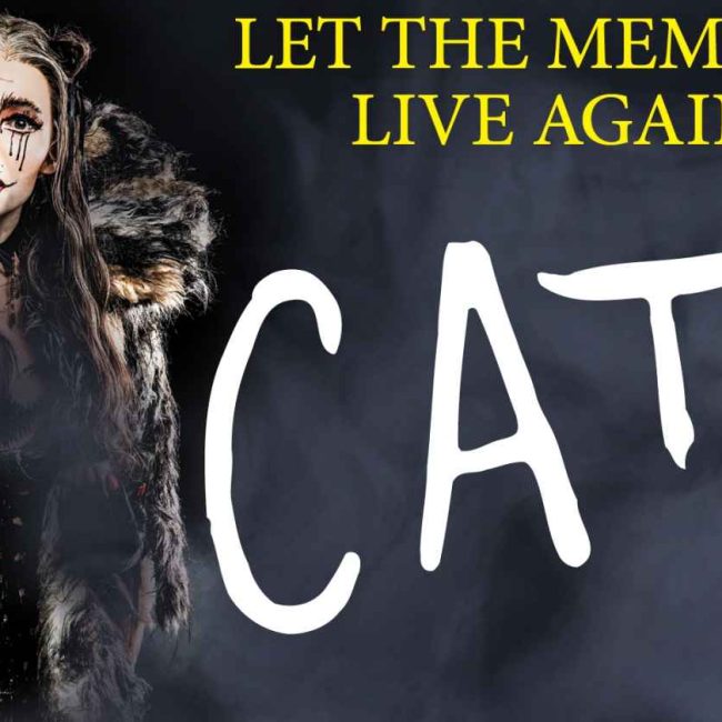 Cats