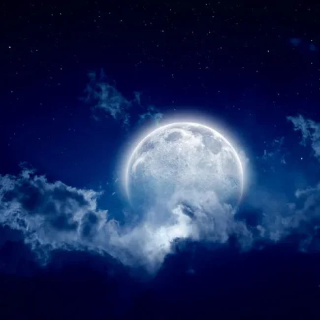 SERIOUS MOONLIGHT