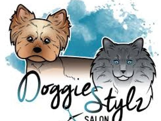 Doggie Stylz Grooming Salon